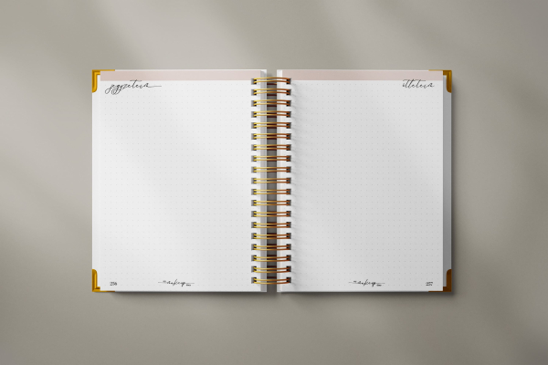 My Makeup Diary (nude/arany) + Sminktervező füzet